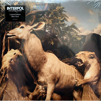 Interpol – Our Love To Admire 2LP (Reissue, Matador)