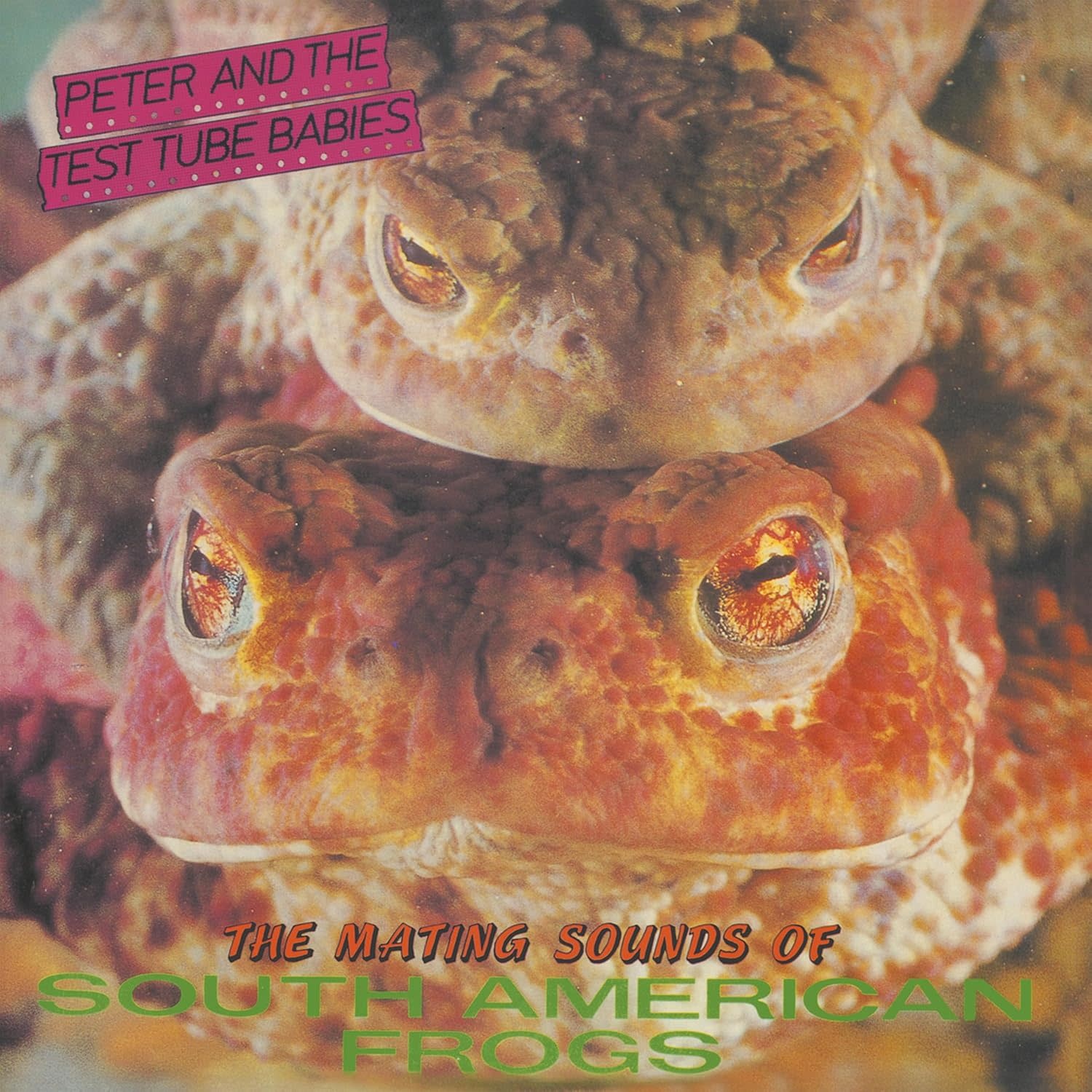 Peter & The Test Tube Babies - The Mating Sounds Of South American Frogs LP (2025, Captain Oi!)