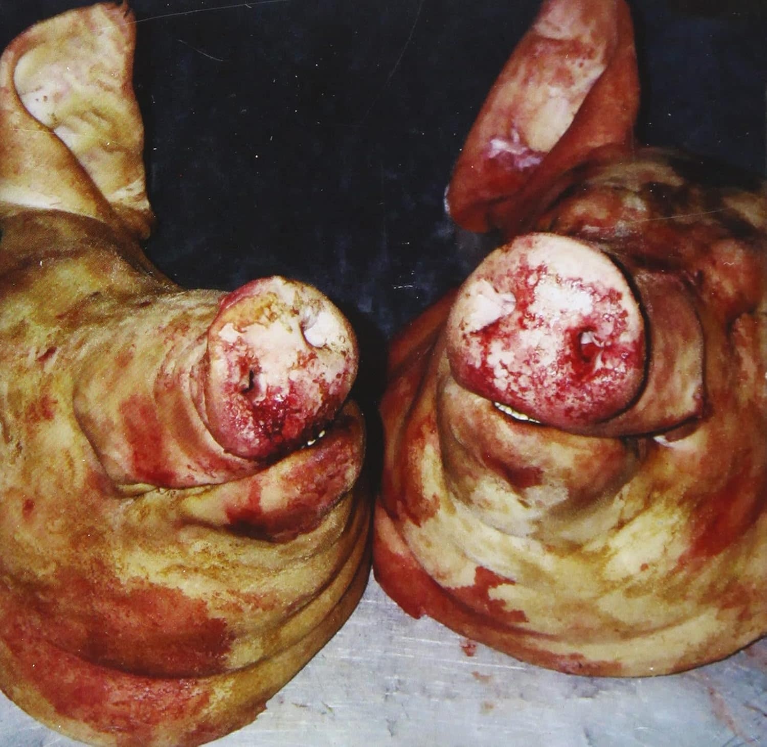 Armand Hammer & The Alchemist – Haram CD (2025 Reissue, Backwoodz Studioz)