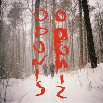 Odonis Odonis – Odonis Odonis LP (2025, Royal Mountain Records)