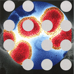 More Influenza - Kontrol 12" (2024, Lemos)