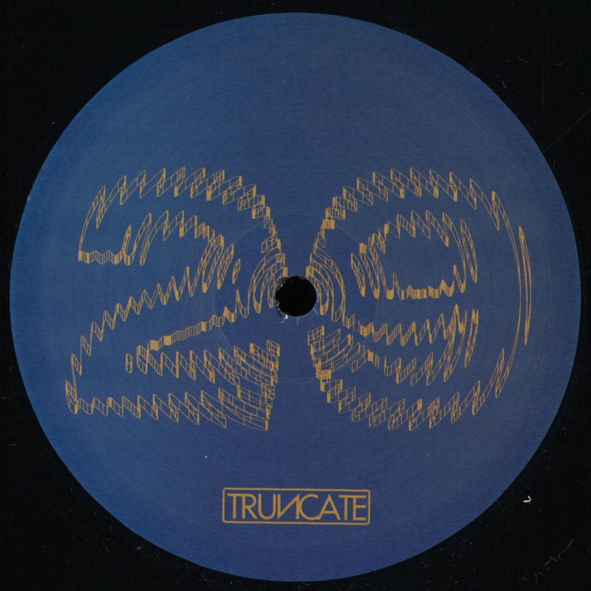 Truncate - Forgotten 12" (2025, Truncate)