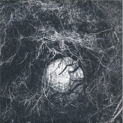 Orphx - The Way Through All Things 12" (Sonic Groove)