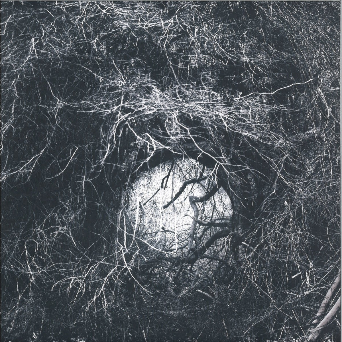 Orphx - The Way Through All Things 12" (Sonic Groove)