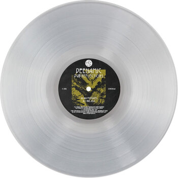 Deenamic - Dub Reflections 12" (2025, Crystal Clear Vinyl, Syncrophone Recordings)