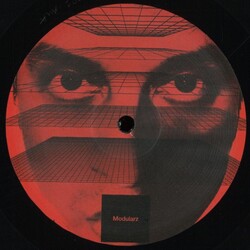 DEVELOPER - MESMERIC MOVEMENTS 12" (2025, Modularz Music