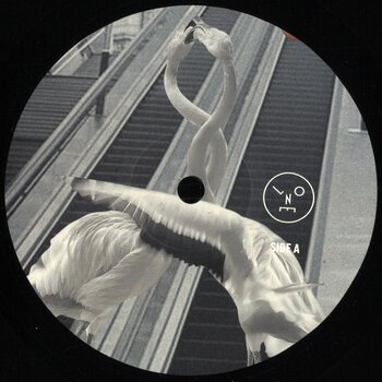 Sasha & Henry Saiz – Love Is All You Need 12" (2025, Last Night On Earth)