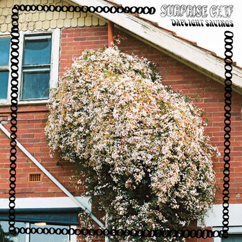 Surprise Chef - Daylight Savings LP (2026 Reissue, Mr Bongo)