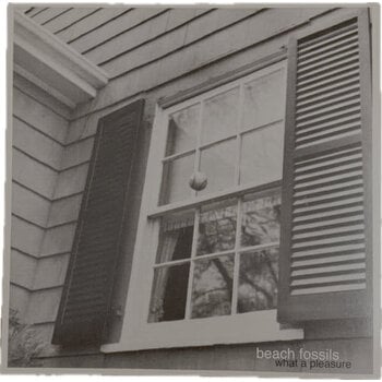 Beach Fossils – What A Pleasure LP (2026 Reissue, Bayonet Records)