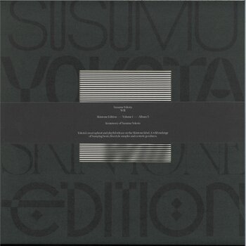 Susumu Yokota – Will 2LP (2025 Reissue, Grey Marbled Vinyl, Lo Recordings - Skintone Edition Series)