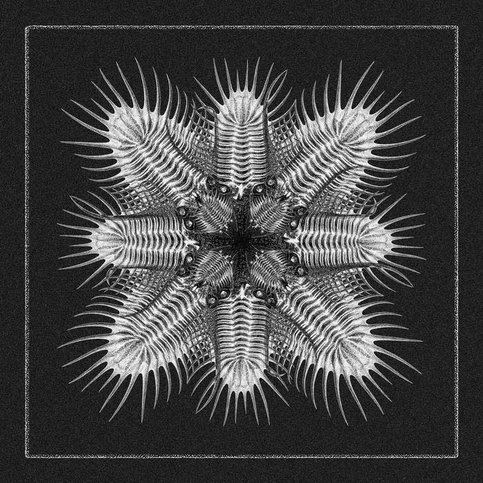 Various – 10  12" (2026, Aquaregia)