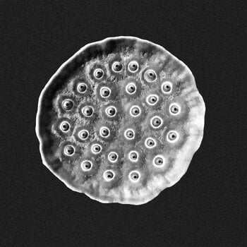 747 – Deep Space Opera EP 12" (2025, Aquaregia)