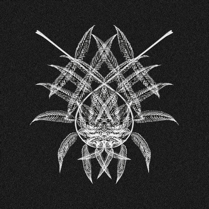 Nicola Dal Sacco – Wirrwarr EP 12" (2023, Aquaregia)