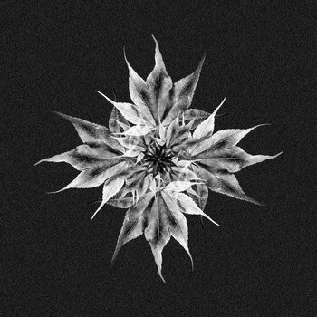 Troma & PERS1 – Kaede EP 12" (2021, Aquaregia)