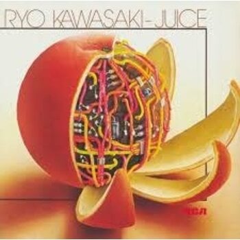Ryo Kawasaki – Juice LP (2026 Reissue, Mr Bongo)