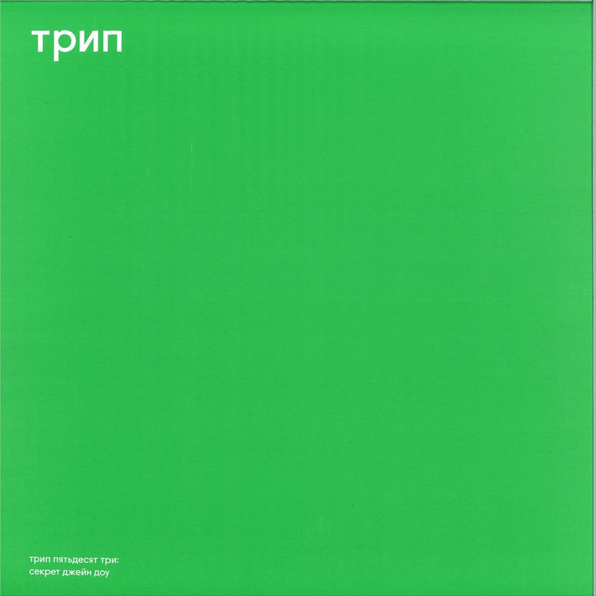 Vladimir Dubyshkin – Jane Doe's Secret 12" (2026, Trip)