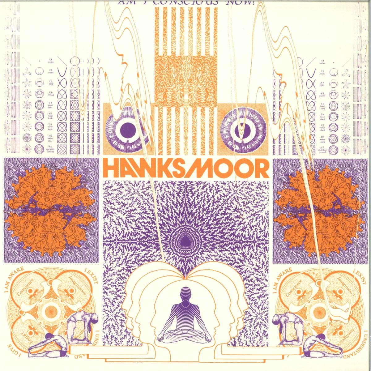 HAWKSMOOR – Am I Conscious Now? LP (2026, Before I Die)