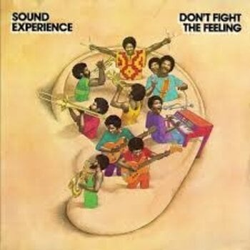 Sound Experience – Don't Fight The Feeling 2LP (2026 Reissue, Philly Soulville Records