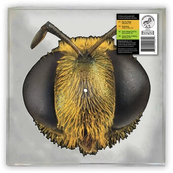 King Gizzard & The Lizard Wizard - Big Fig Wasp LP [RSD2026]