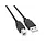 ETC USB 2.0 A Male to USB B Male Cable (6ft.)