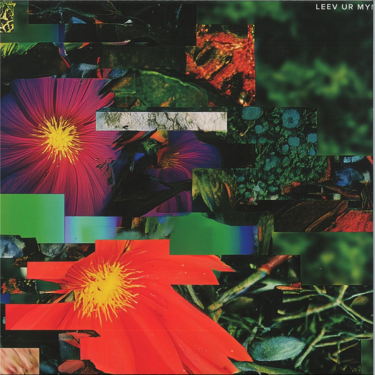 Mr. Fingers – Leev Ur Mynd 2x12" (2026, Alleviated Records)