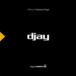 Algoriddim × stokyo / djay Control Vinyl 7" Black