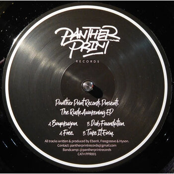 Various – The Rude Awakening EP 12" (2020, Panther Print Records)