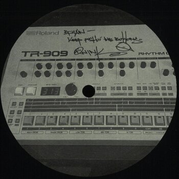 Brian Kage - 909 Days 12" (2026, Michigander)
