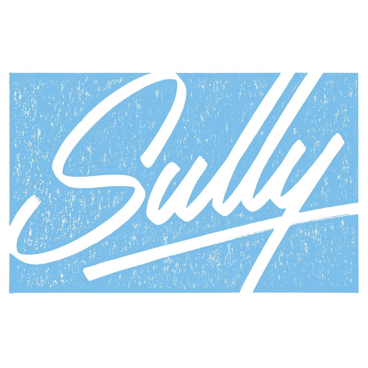 Sully – Flock 12" (2026 Repress, Astrophonica)