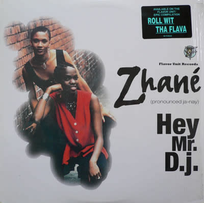 (VINTAGE) Zhané - Hey Mr. D.J. 12" [VG-](1993,US)