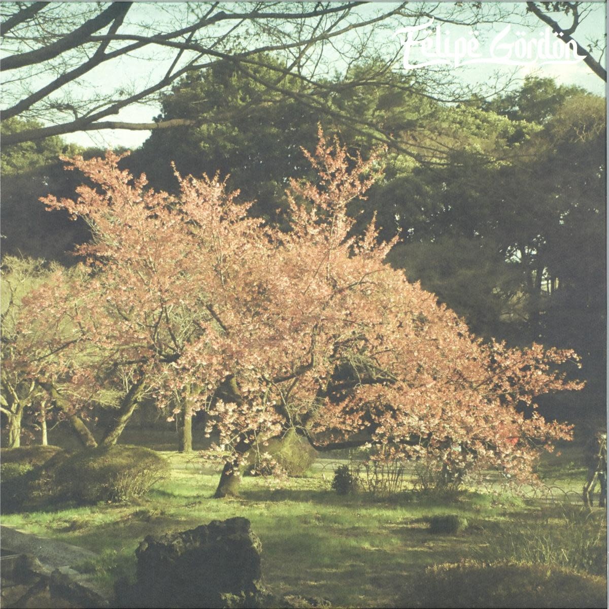 Felipe Gordon – Tezeta 2LP (2026, Shall Not Fade)