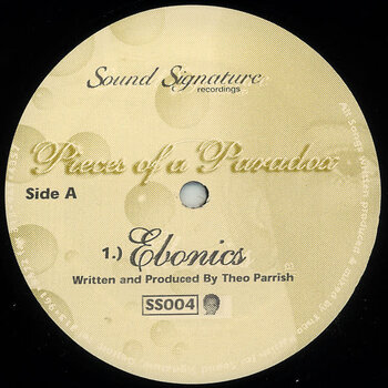 Theo Parrish – Pieces Of A Paradox 12" (1998, Sound Signature)