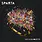 Sparta – Cut A Silhouette LP (2026, Yellow, Purple & Black Smash Vinyl, Dine Alone Records)