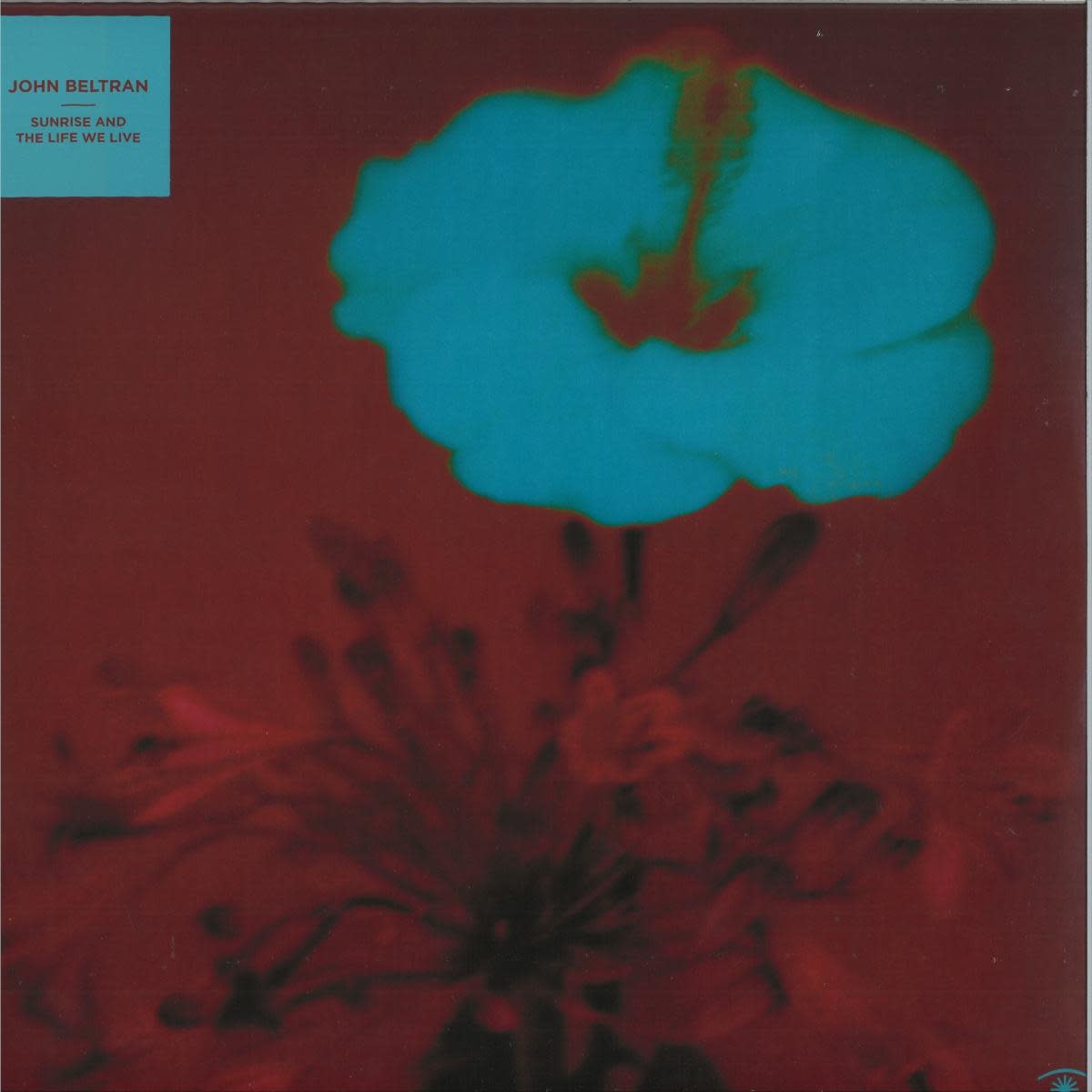 John Beltran – Sunrise And The Life We Live 2LP (2026, Music For Dreams)