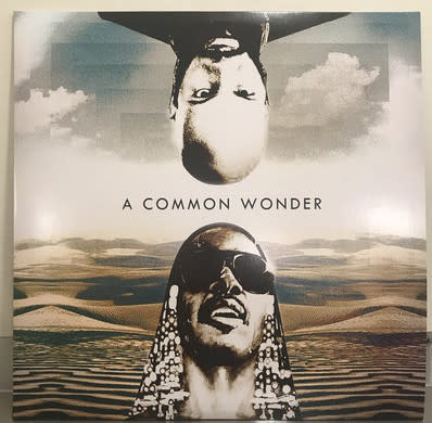 Amerigo Gazaway - A Common Wonder (Common Vs Stevie Wonder) 2LP (2017, Soul Mates Records)