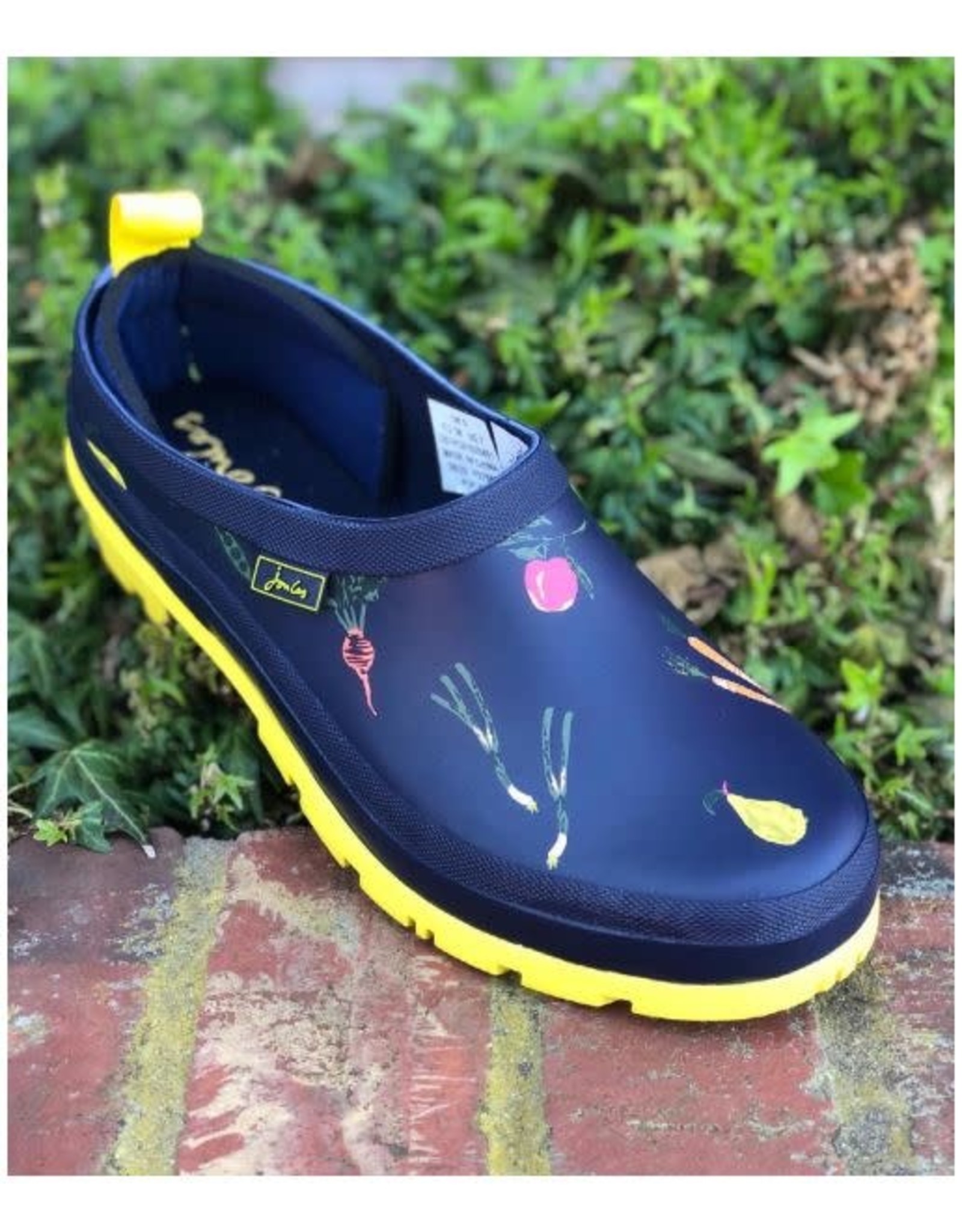 Joules - Pop On - 12th Street Shoes