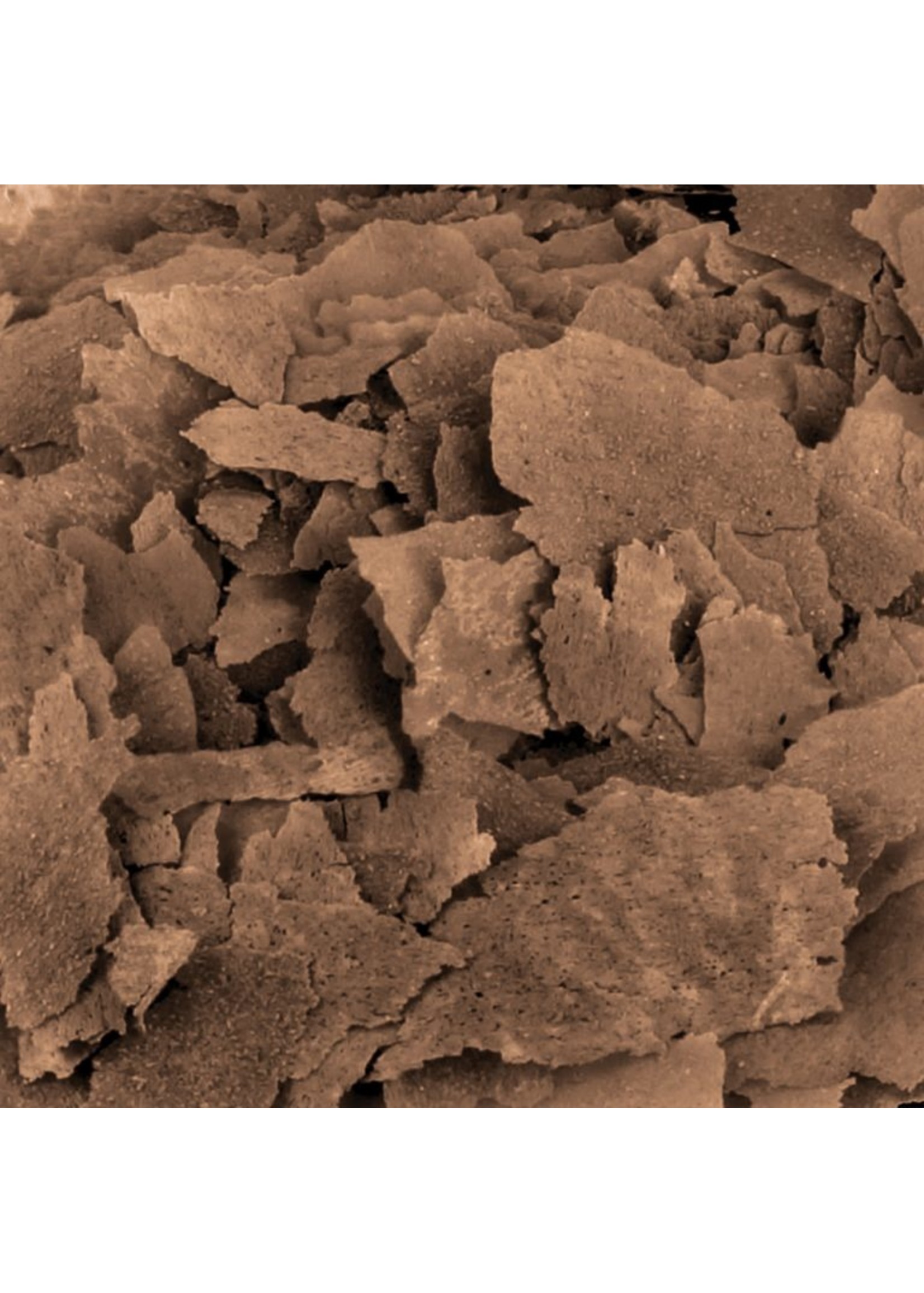 fluval bug bites tropical