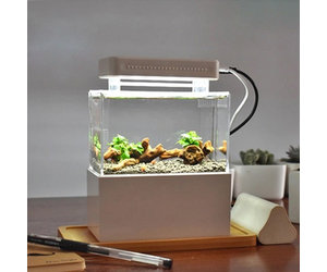 Mini Complete Tank Freshwater Tank - Benson's Fish Room