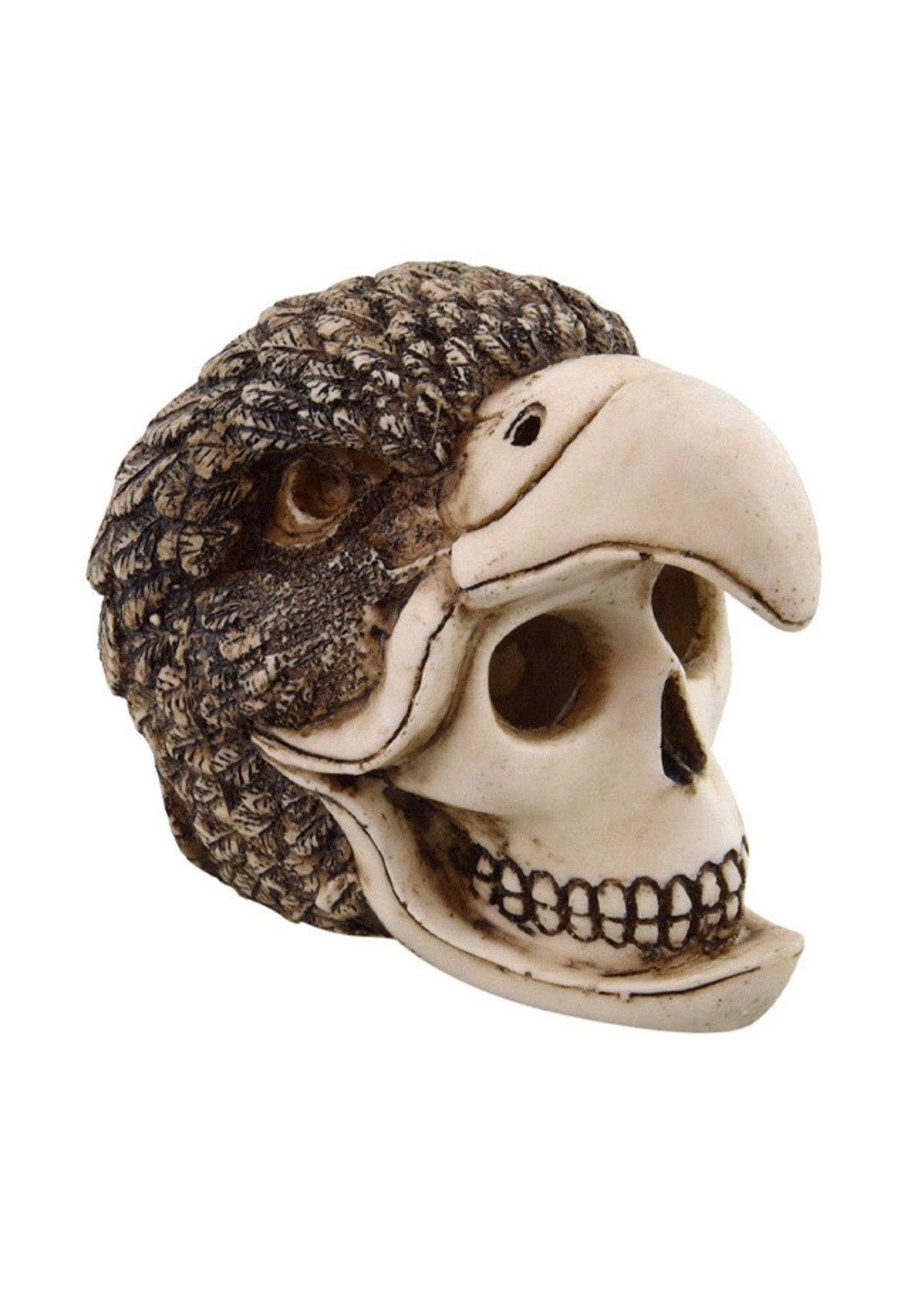 Underwater Treasures Underwater Treasures Birdman Skull