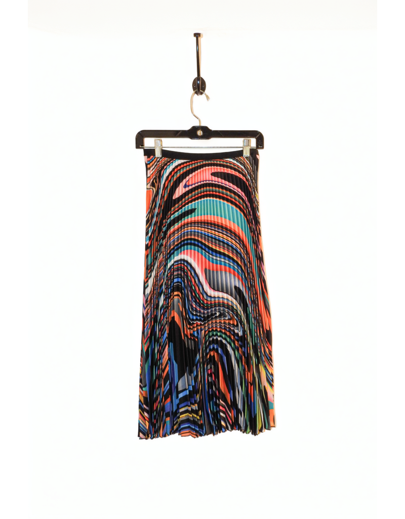 Wild Cosmos Emily Oli Paint Pleated Midi Skirt Multi Color OS