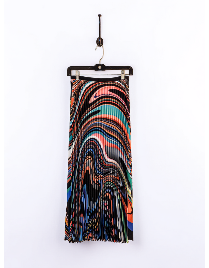 Wild Cosmos Emily Oli Paint Pleated Maxi Skirt Multi Color OS
