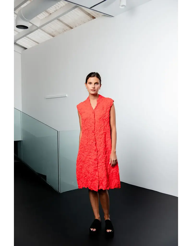 Alquema Crush Vest Dress