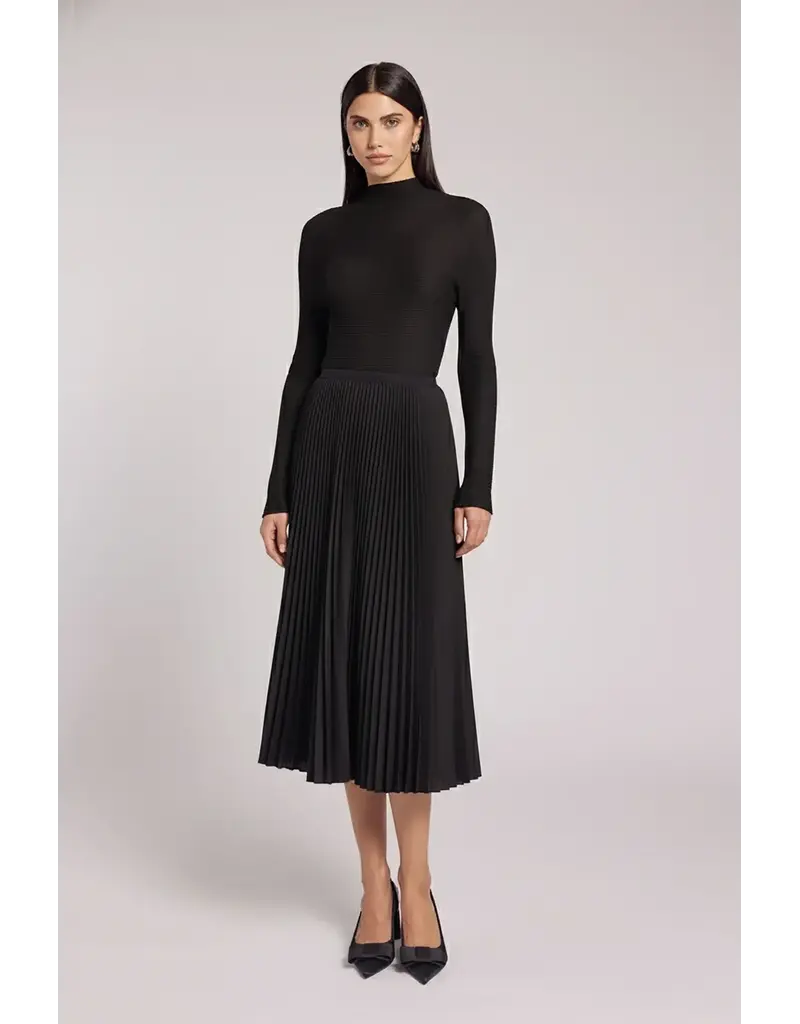 Wild Cosmos Hazel Pleated Skirt Maxi Black O/S