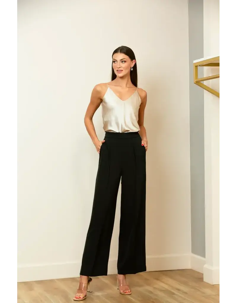 Jessie Liu Pintuck Wide Leg pants