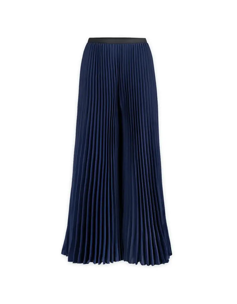 Wild Cosmos Eve Matte Navy Palazzo O/S