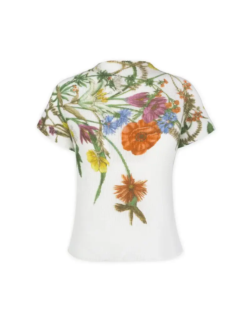 Wild Cosmos Jasmine Blossom Long Sleeve top cream