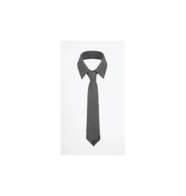 Paper Temples Necktie Ganasta