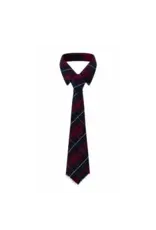 Paper Temples Neck tie Tartan