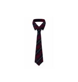 Paper Temples Neck tie Tartan