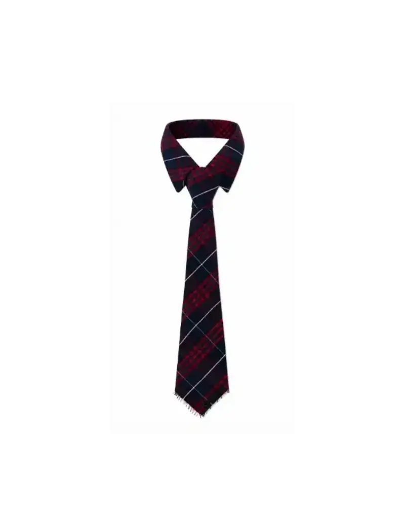 Paper Temples Neck tie Tartan